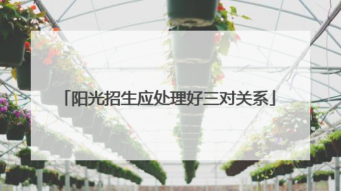 阳光招生应处理好三对关系