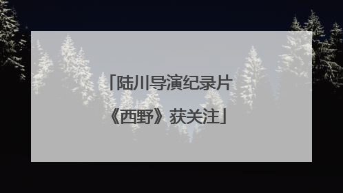 陆川导演纪录片《西野》获关注