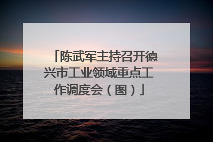 陈武军主持召开德兴市工业领域重点工作调度会（图）