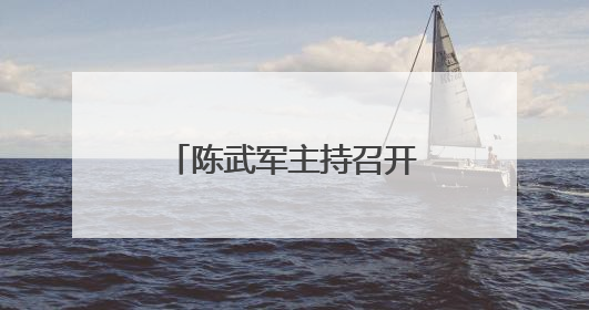 陈武军主持召开部分领域重点项目调度会（图）