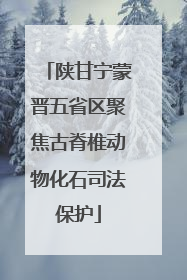 陕甘宁蒙晋五省区聚焦古脊椎动物化石司法保护