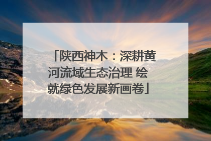 陕西神木：深耕黄河流域生态治理 绘就绿色发展新画卷