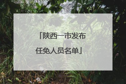 陕西一市发布任免人员名单