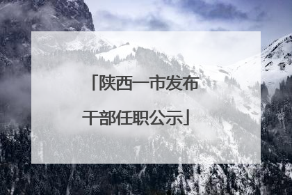 陕西一市发布干部任职公示