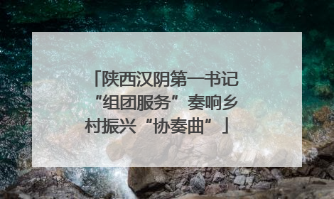 陕西汉阴第一书记“组团服务”奏响乡村振兴“协奏曲”