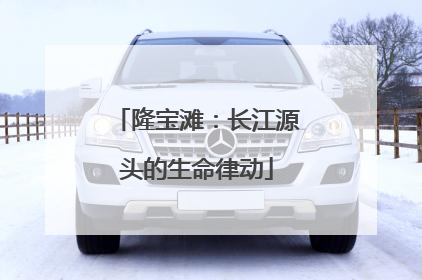 隆宝滩：长江源头的生命律动