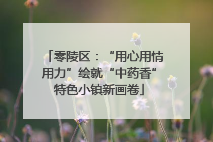 零陵区：“用心用情用力”绘就“中药香”特色小镇新画卷