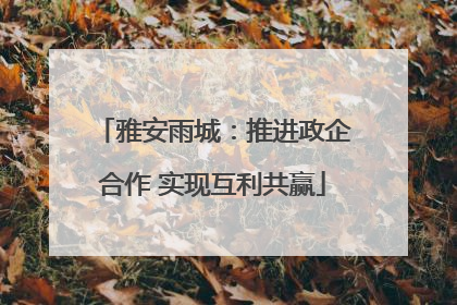 雅安雨城：推进政企合作 实现互利共赢