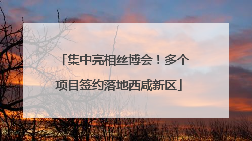 集中亮相丝博会！多个项目签约落地西咸新区