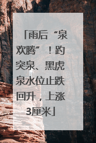 雨后“泉欢腾”！趵突泉、黑虎泉水位止跌回升，上涨3厘米
