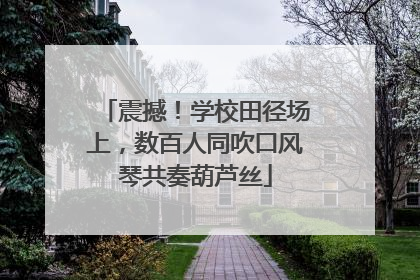 震撼！学校田径场上，数百人同吹口风琴共奏葫芦丝