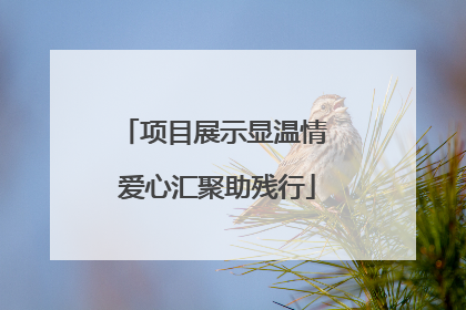 项目展示显温情 爱心汇聚助残行