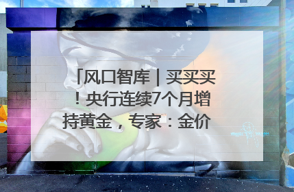 风口智库｜买买买！央行连续7个月增持黄金，专家：金价或仍易涨难跌
