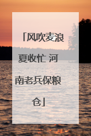 风吹麦浪夏收忙 河南老兵保粮仓