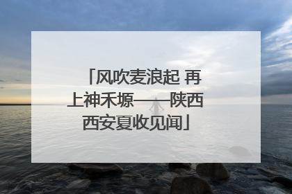 风吹麦浪起 再上神禾塬——陕西西安夏收见闻