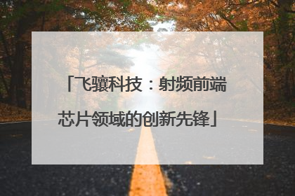 飞骧科技：射频前端芯片领域的创新先锋