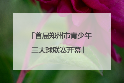 首届郑州市青少年三大球联赛开幕