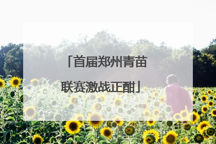 首届郑州青苗联赛激战正酣