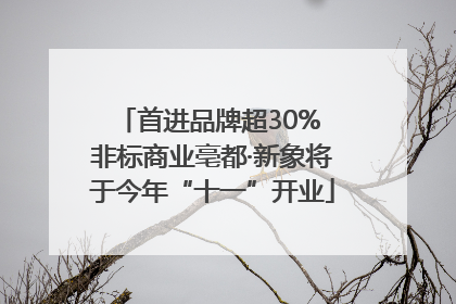 首进品牌超30% 非标商业亳都·新象将于今年“十一”开业