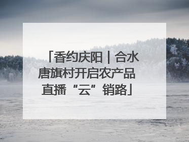 香约庆阳｜合水唐旗村开启农产品直播“云”销路