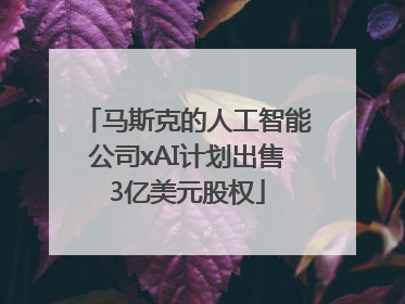 马斯克的人工智能公司xAI计划出售3亿美元股权