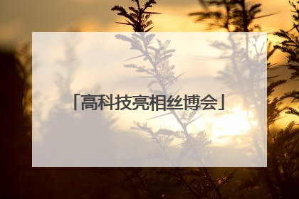高科技亮相丝博会