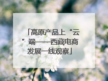 高原产品上“云”端——西藏电商发展一线观察