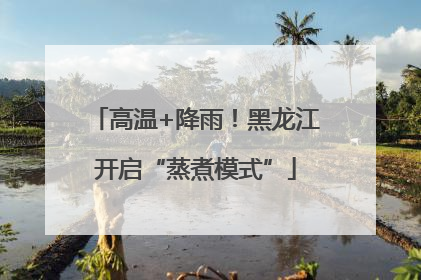 高温+降雨！黑龙江开启“蒸煮模式”