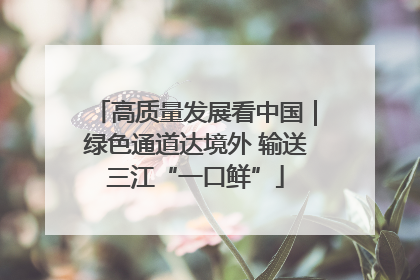 高质量发展看中国｜绿色通道达境外 输送三江“一口鲜”