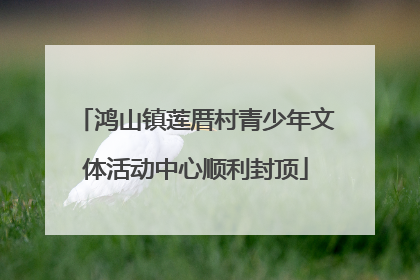 鸿山镇莲厝村青少年文体活动中心顺利封顶