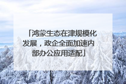 鸿蒙生态在津规模化发展，政企全面加速内部办公应用适配