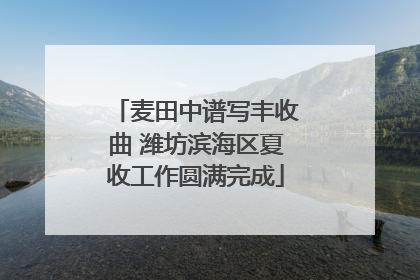麦田中谱写丰收曲 潍坊滨海区夏收工作圆满完成