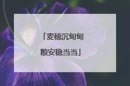 麦穗沉甸甸 粮安稳当当