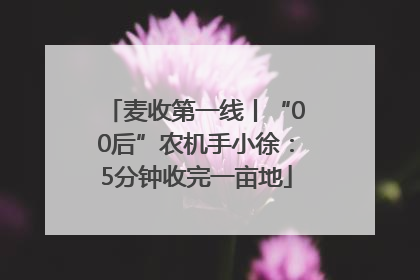 麦收第一线丨“00后”农机手小徐：5分钟收完一亩地