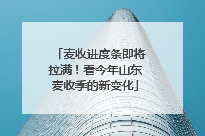 麦收进度条即将拉满！看今年山东麦收季的新变化