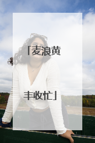 麦浪黄 丰收忙