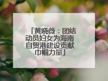 黄晓薇：团结动员妇女为海南自贸港建设贡献巾帼力量