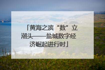 黄海之滨“数”立潮头——盐城数字经济崛起进行时