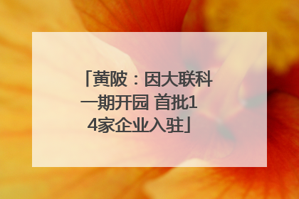 黄陂：因大联科一期开园 首批14家企业入驻