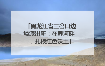 黑龙江省三岔口边境派出所：在界河畔，扎根红色沃土