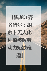 黑龙江齐齐哈尔：胡萝卜无人化种植破解劳动力短缺难题