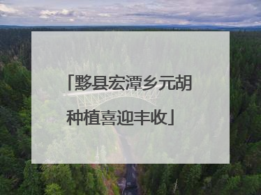 黟县宏潭乡元胡种植喜迎丰收
