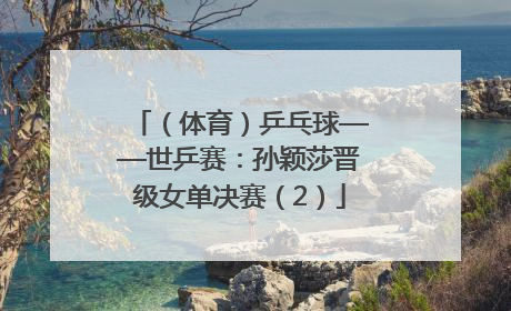 （体育）乒乓球——世乒赛：孙颖莎晋级女单决赛（2）