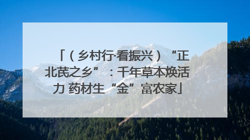 （乡村行·看振兴）“正北芪之乡”：千年草本焕活力 药材生“金”富农家