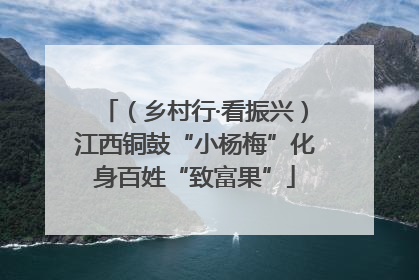 （乡村行·看振兴）江西铜鼓“小杨梅”化身百姓“致富果”