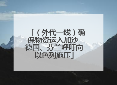 （外代一线）确保物资运入加沙 德国、芬兰呼吁向以色列施压