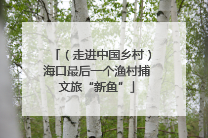 （走进中国乡村）海口最后一个渔村捕文旅“新鱼”