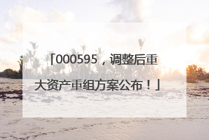 000595，调整后重大资产重组方案公布！