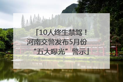 10人终生禁驾！河南交警发布5月份“五大曝光”警示
