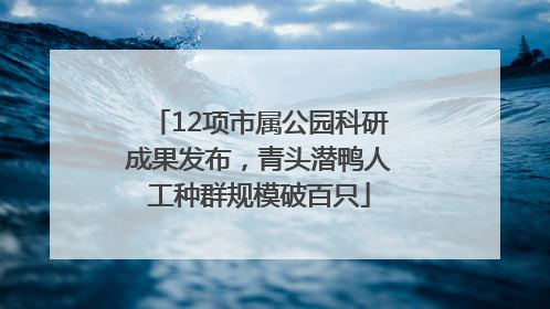 12项市属公园科研成果发布，青头潜鸭人工种群规模破百只